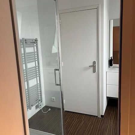 Grand Duplex De 80M2 Apartment Alencon Bagian luar foto